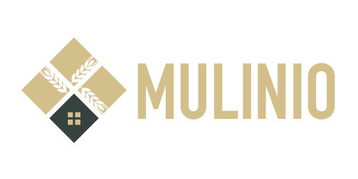 logo-mulinio